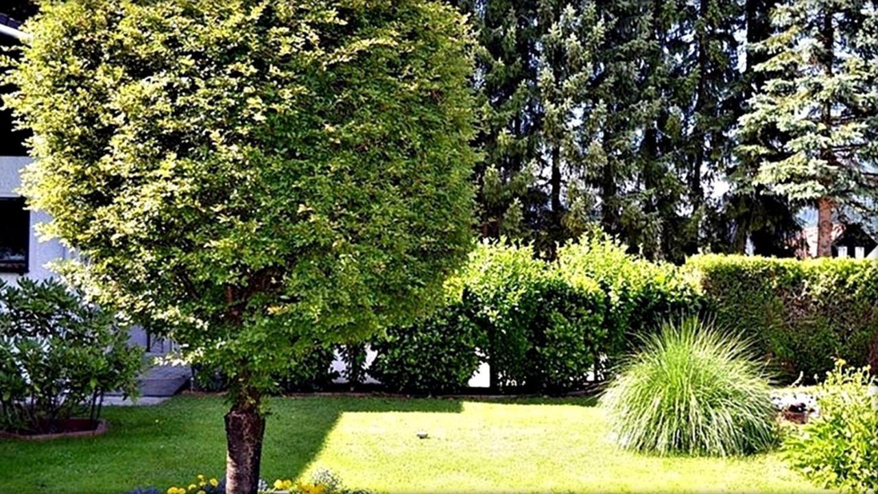Ferienwohnung Neuhuber Bad Goisern Dış mekan fotoğraf
