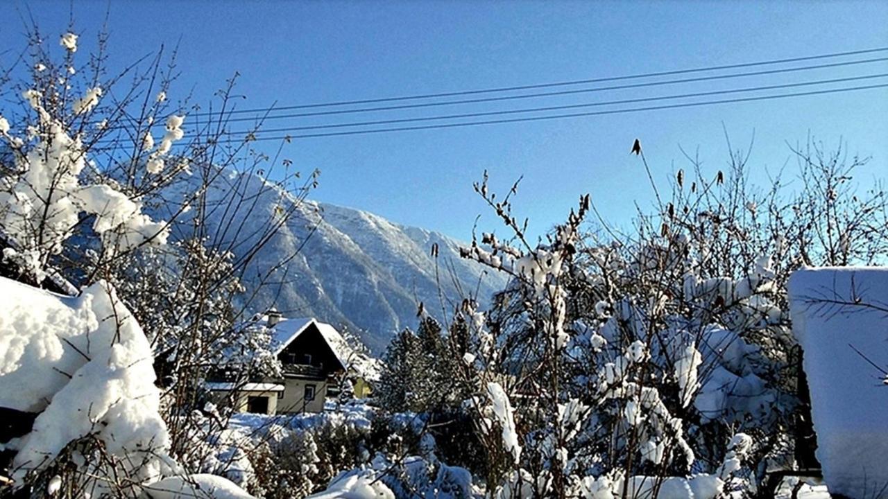 Ferienwohnung Neuhuber Bad Goisern Dış mekan fotoğraf
